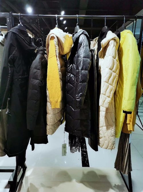 【廣東品牌折扣女裝羽絨服專(zhuān)賣(mài)店網(wǎng)店庫(kù)存商品廠家批發(fā)貨源】-